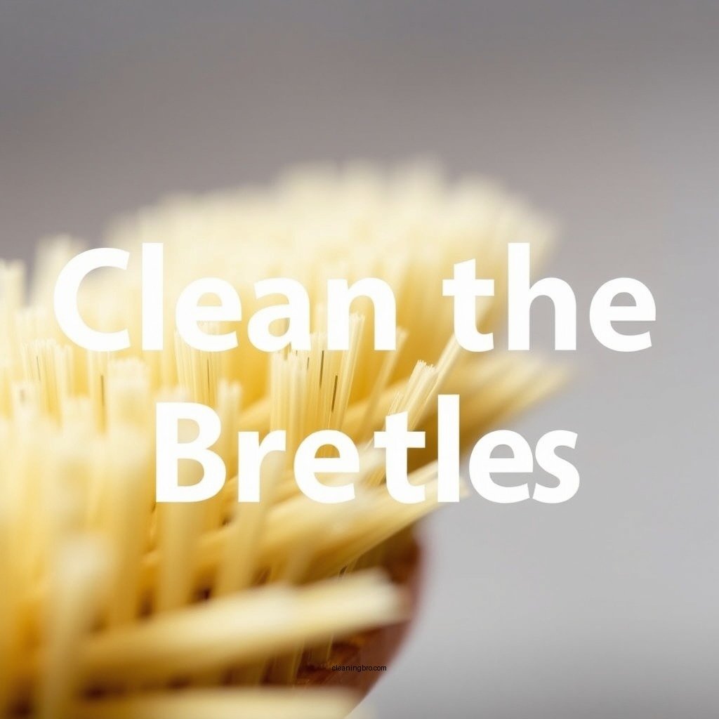 Clean the Bristles - how to clean boar bristle brush with wooden handle