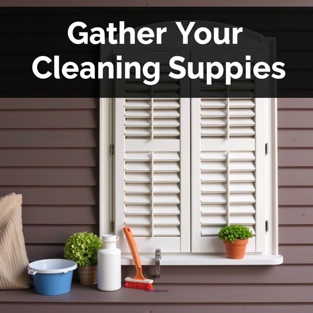 Gather Your Cleaning Supplies - how to clean vinyl window shutters