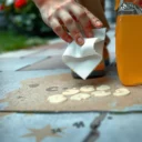 How to Clean Cat Pee from Concrete: Step-by-Step Removal