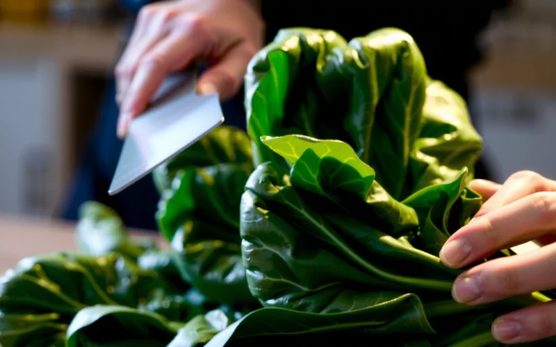 How to Clean Chard: Quick Prep Steps for Fresh Leaves