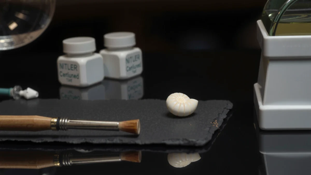 How to Clean Fossils: Safe Steps for Preserving Details