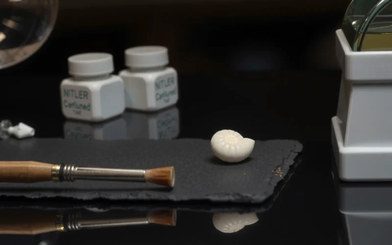 How to Clean Fossils: Safe Steps for Preserving Details