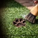 How to Clean Artificial Turf Dog: Simple, Safe Cleaning Steps