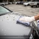 How to Clean Bird Droppings From Car: Safe Step-by-Step Guide