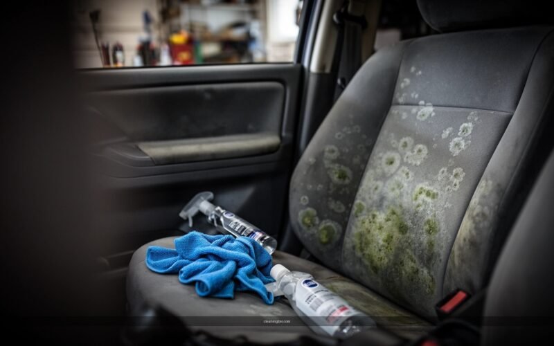 How to Clean Mildew in a Car: Step-by-Step Guide