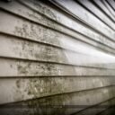 How to Clean Mold Off of Siding: Step-by-Step