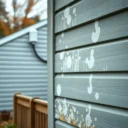 How Do I Clean Mold Off Vinyl Siding?