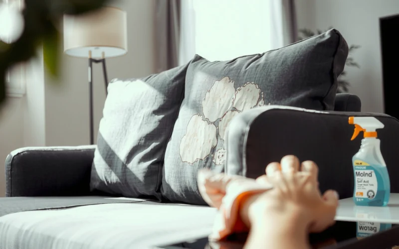 How to Clean a Moldy Couch: Step-by-Step Guide