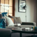 How to Clean Dog Pee From Couch: Step-by-Step Removal Tips