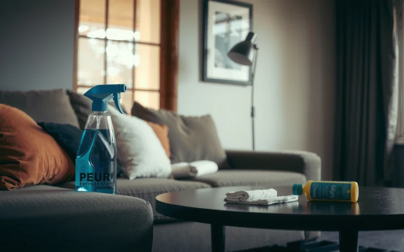 How to Clean Dog Pee From Couch: Step-by-Step Removal Tips