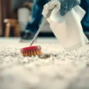 How to Clean Dried Cat Poop from Carpet